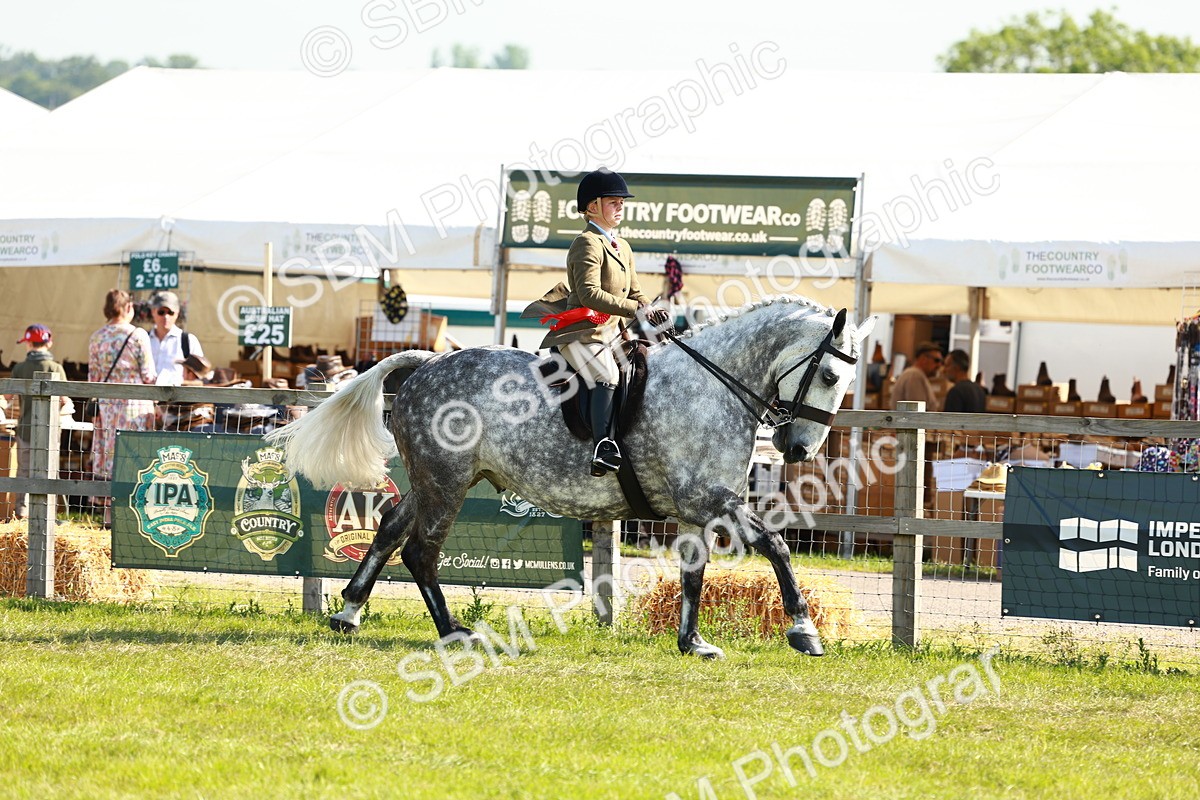 SBM_11909 - Class 66-69 - RIHS Ridden Hunters Inc Small Hunter