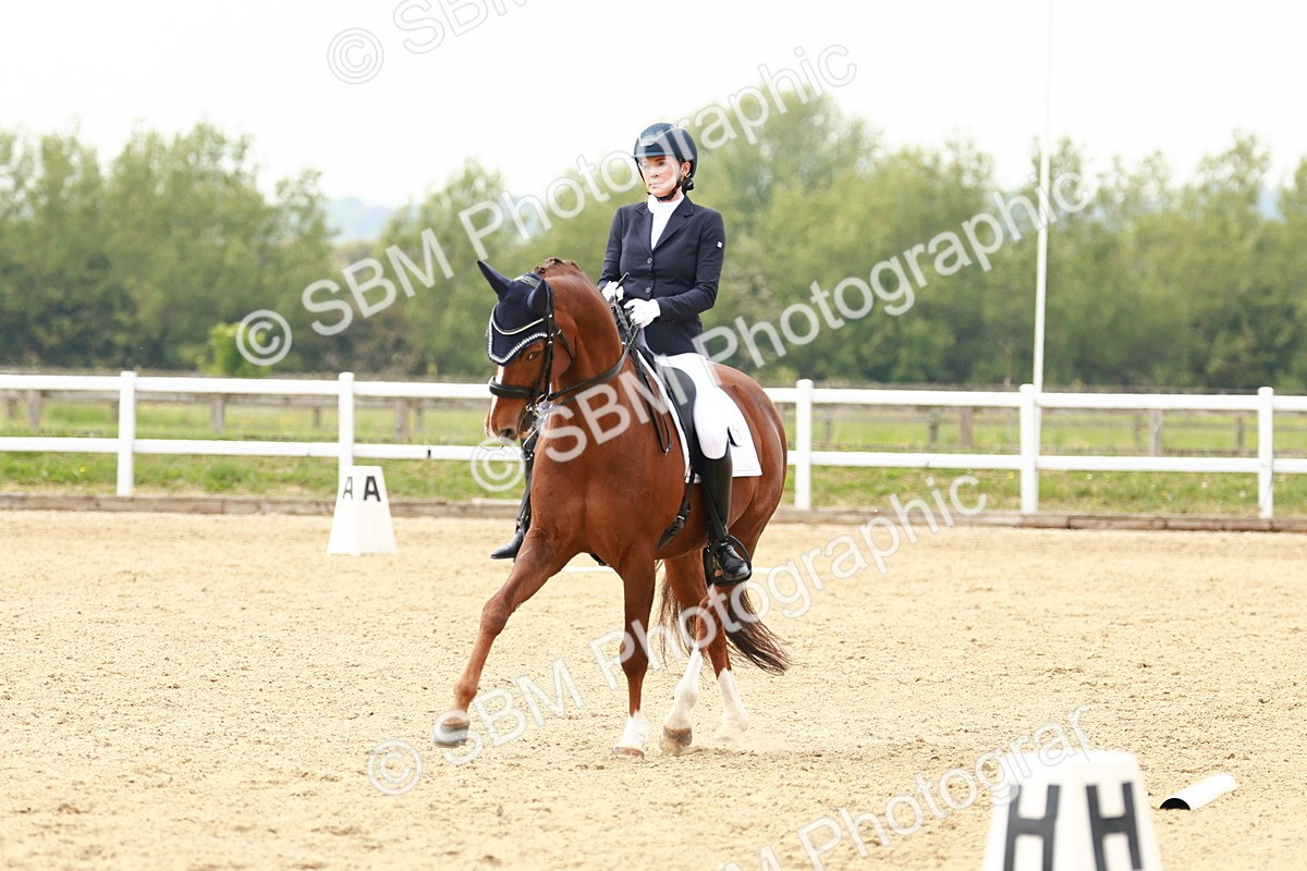 SBM_002741 - Class 12 - Medium 4