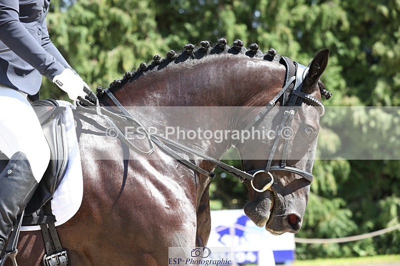 230811-140248-01947 - Cls 1 Prelim Bronze 13.30 to 14.50 break