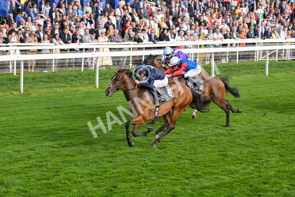 210825-Race 7-Royal Velvet-5652 - Race 7 5.20pm British EBF Fillies' Handicap