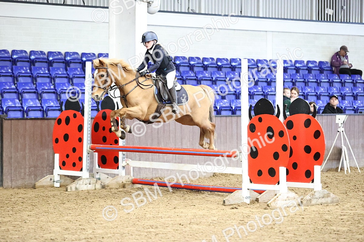 SBM_001468 - Class 9 - Pony British Novice 80cm