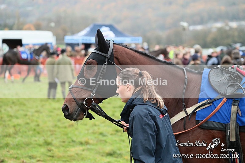 PtP 091125  0455 - Point-to-Point Wales Area Club Lower Machen, Gwent 09/11/25