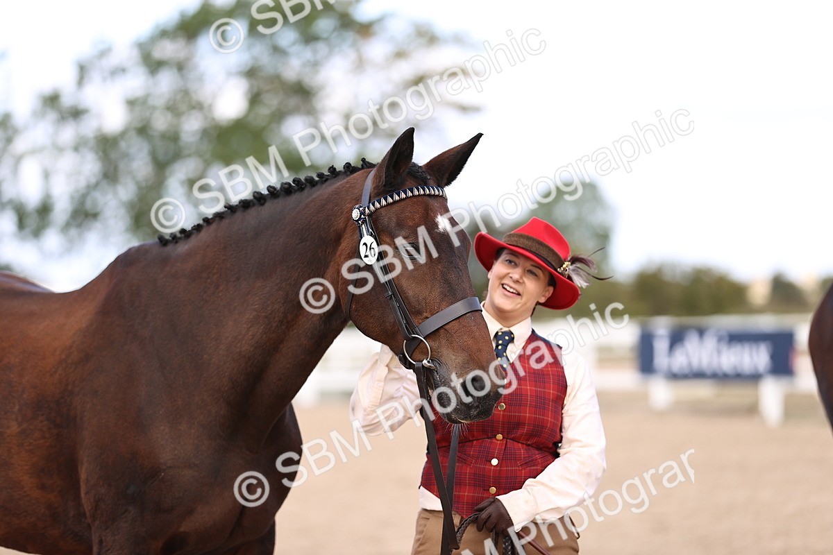 SBM_11557_Class 407 - IH Hack-Riding Horse - 516