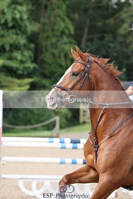 240711-091739-24668 - Cls 119 5 Yr Old Qualifier 1.10m