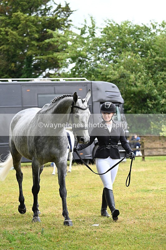 WJ7_6115 - Class 4a Prettiest Mare over 14hh