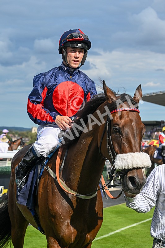 140825-Race 5-Chillhi-1581 - Race 5