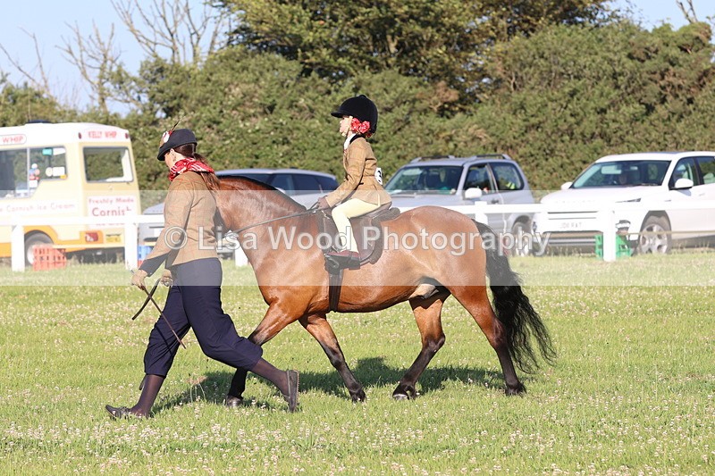 JPP_0742 - Class 16: Cornish Combination Leading Rein