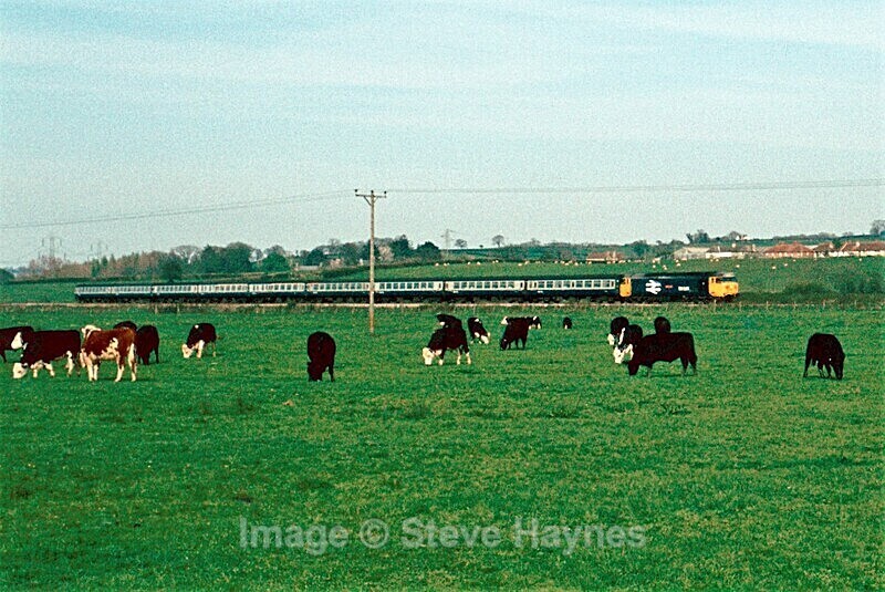 29th April 1984 - Axminster, Devon