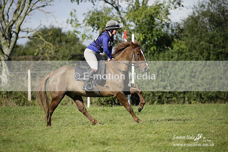  WWHT 031021 1546 - Open Novice (0.80m) 03/10/21