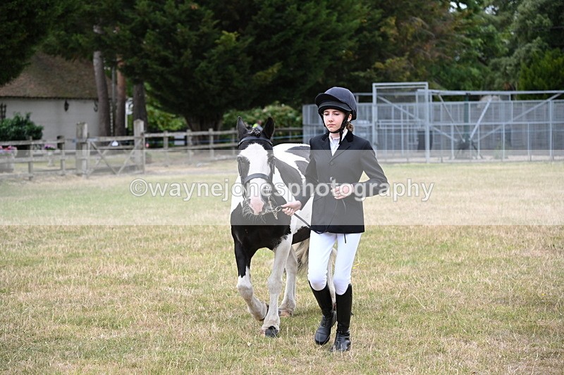 WJ6_4226 - Class 10 Coloured In-hand