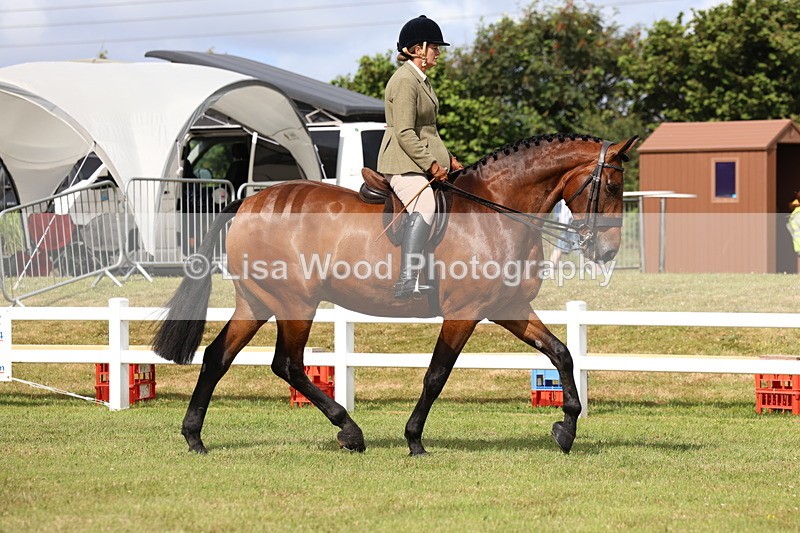 3E7A9274 - Class 4: Rising Star M/H Hunter