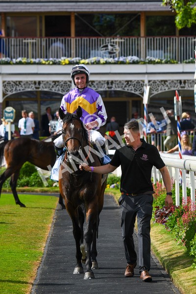 270523-Race 6-Quantum Impact-0910 - Race 6 4.25pm Royal Yorkshire Regiment Handicap