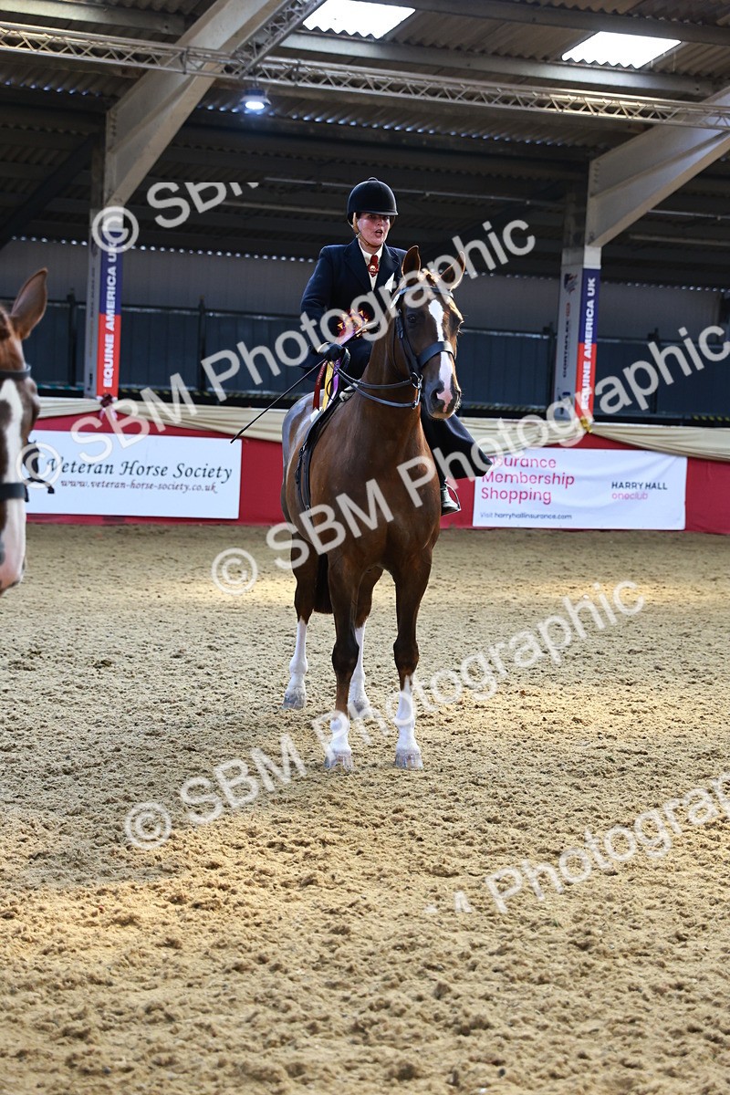 SBM_12804 - HOYS Veteran Qualifier - Ridden Champ