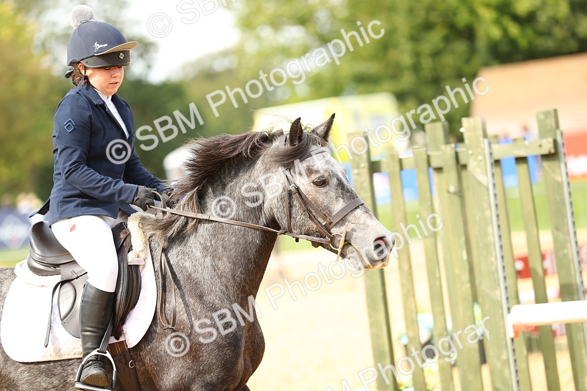 SBM_67181 - J17 - Junior Pony 80cm Championship