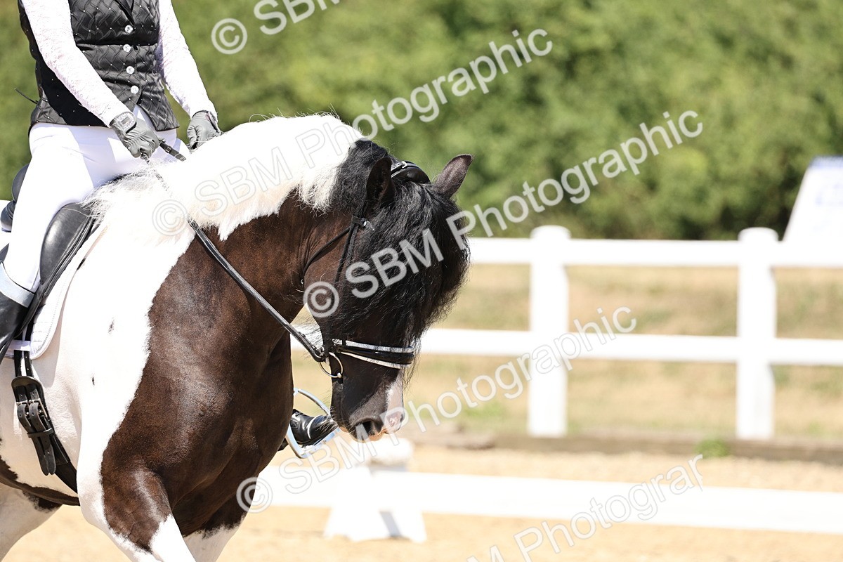 SBM_001576 - Prelim 4 - 11.25-13.24