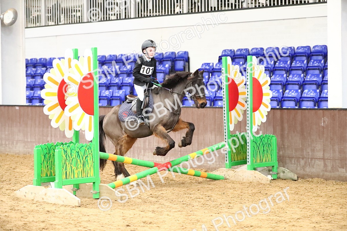 SBM_001034 - Class 3 - 50cm