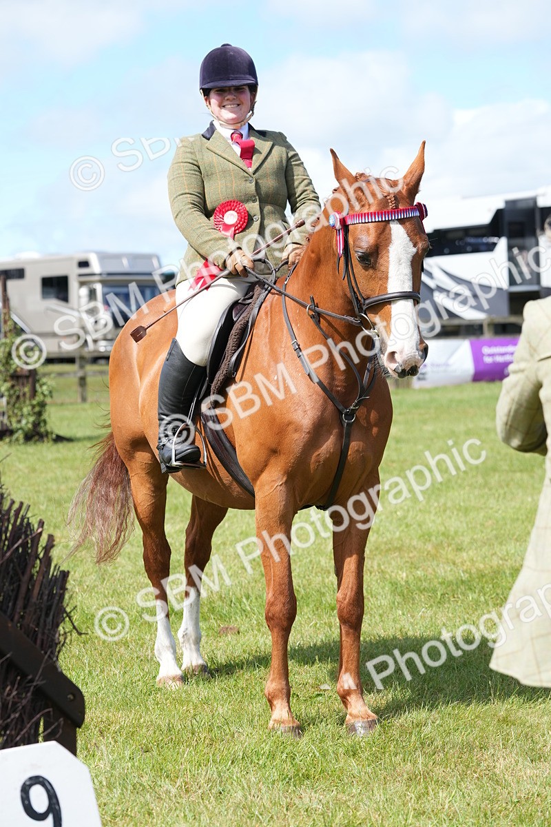 SBM_12968 - Class 99 - RIHS SEIB Working Show Horse