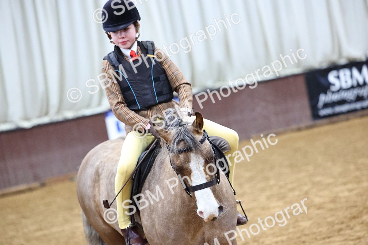 SBM_003050 - Class 35 - 60cm Training Stakes