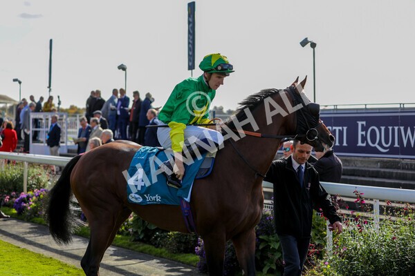 yr08102022r1-2 - Race 1 1.30pm The Coral Play 'Racing-Super-Series' for Free Nursery Handicap