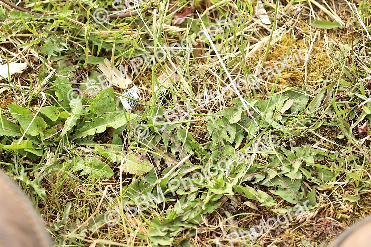 SBM_002237 - Class 10 - M3
