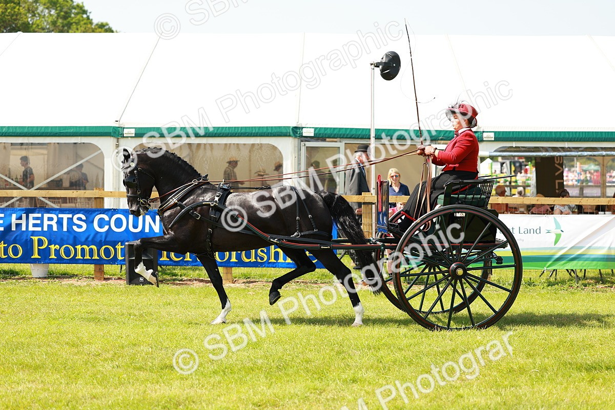 SBM_02883 - Class 2-4 - HOYS Private Driving
