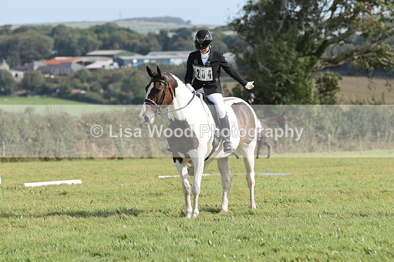JPP_8141 - Class 2A: Trekenning Open: Dressage