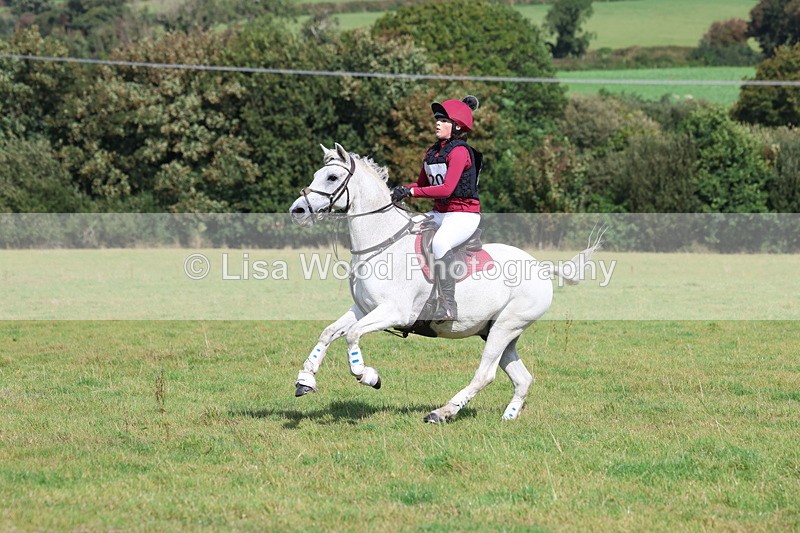 3E7A6693 - Class 1: Trebudannon Open: Pheasant Feeder