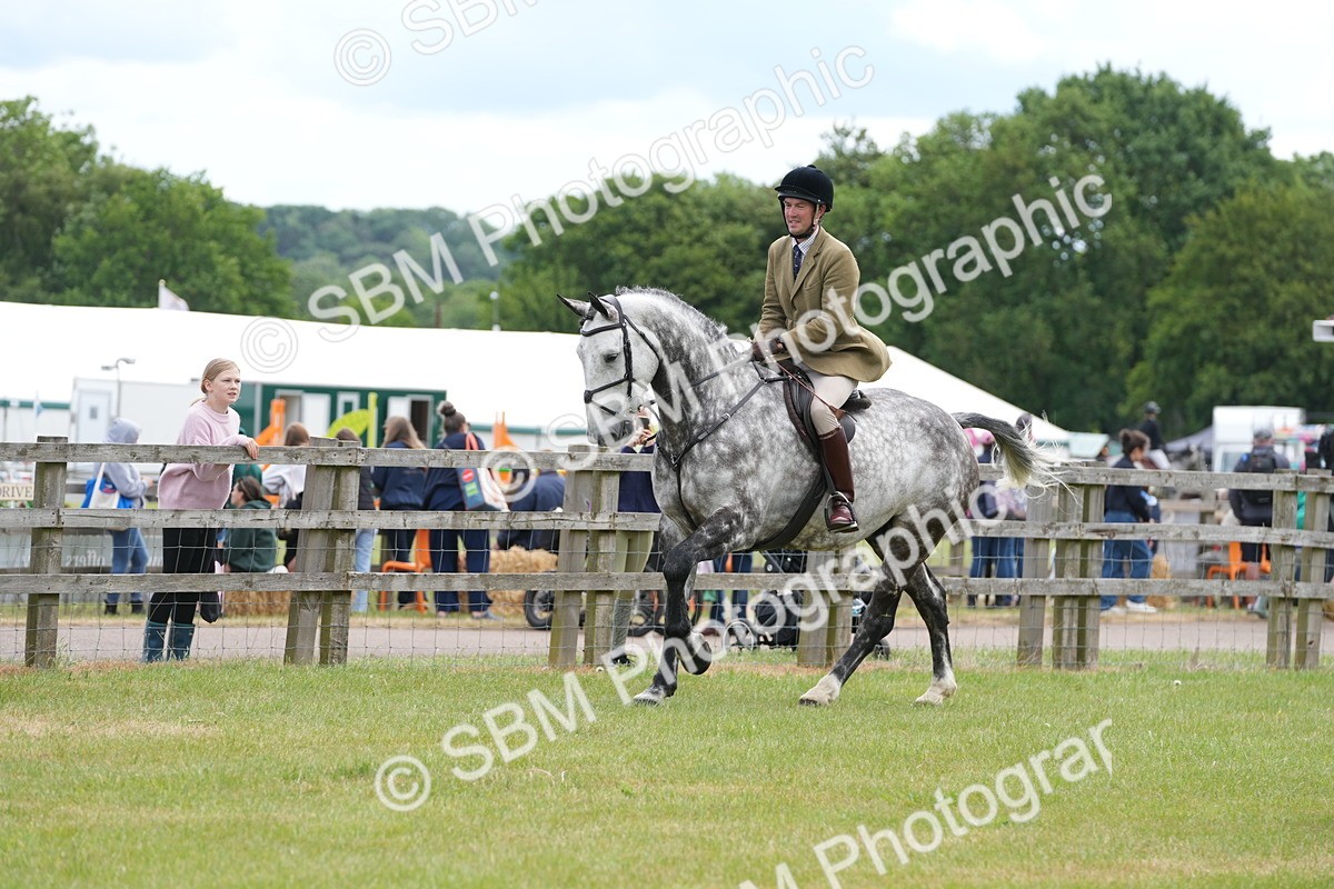 SBM_14881 - Class 100-102 - RIHS Working Hunter