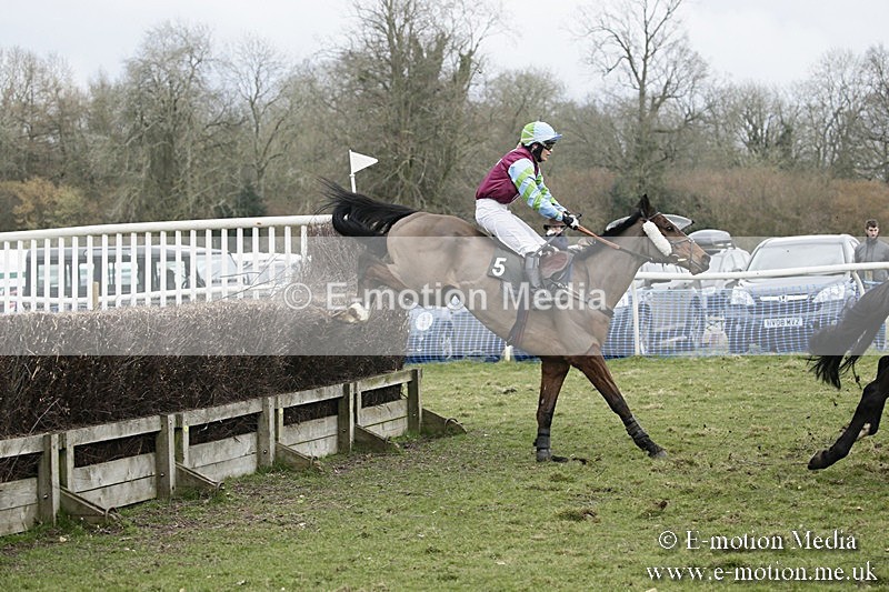 PtP 110318 459 - Hampshire Hunt Point-to-Point Hackwood Park 11/03/18