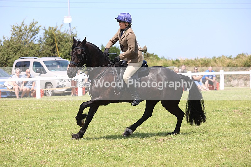 JPP_2540 - Class 21: Working Hunter 60cm
