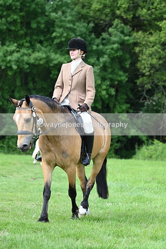 WJ7_1007 - Class 11 Condition & Turnout