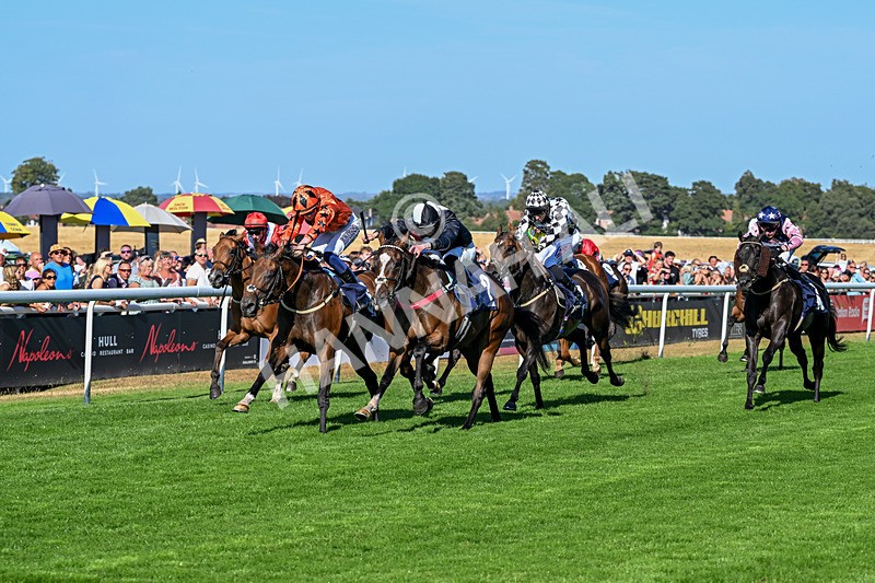 120826-Race 6-Rumble Ruby-7482 - Race 6 16.45pm Nation Radio Yorkshire Handicap
