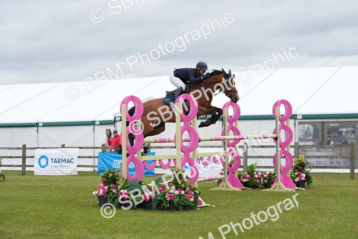 SBM_03458 - Class 201 - British Horse Feeds Speedi Beet Horse of the Year Show Grade  C