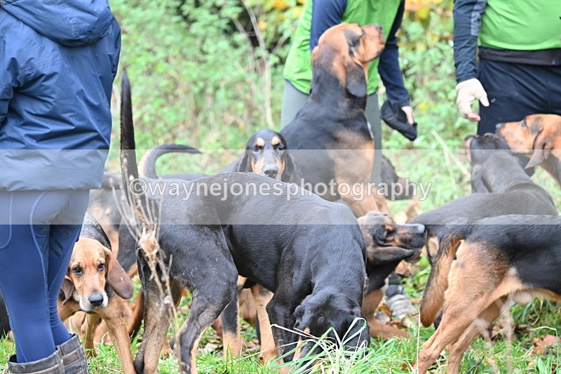 WJ6_8634 - Meet