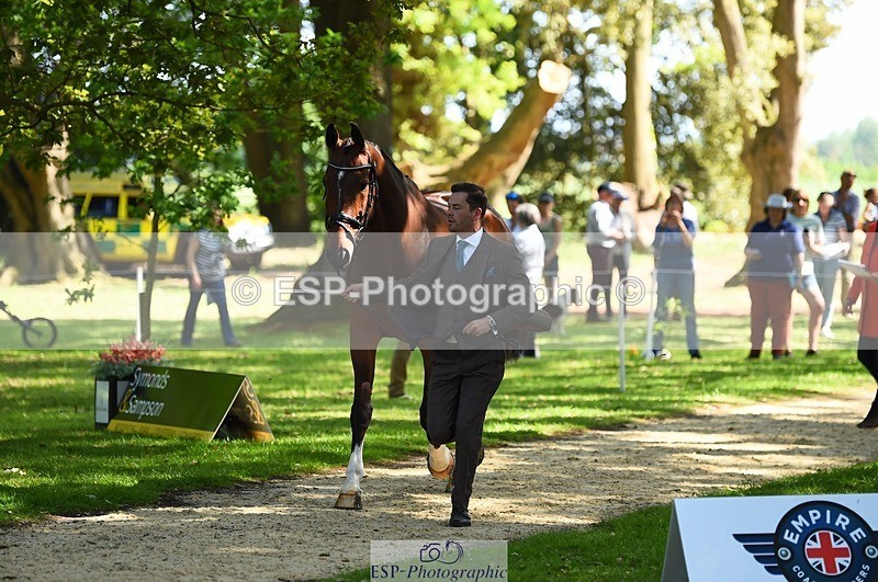 230524-154520-00472 - 365-BWE_NEWTON_DE_JASPER-Adam_Harvey-WEDTrotUp+DR