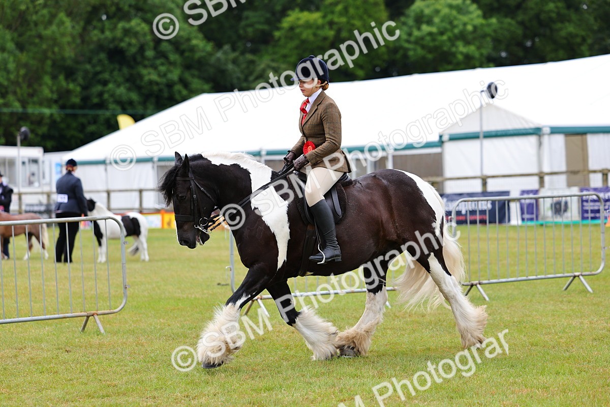 SBM_02656 - Class 9-11 Side Saddle including LIHS Rising Star Ladies Show Horse