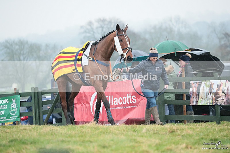 PtP 100324 483 - Pytchley with Woodland Point-to-Point Guilsborough 10/03/24
