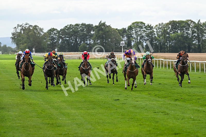 080825-Race 4-Equity Law-2320 - Race 4