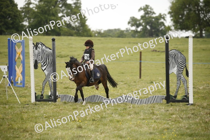 20250517-0734 - Class 2 - 30cm Off Lead Rein