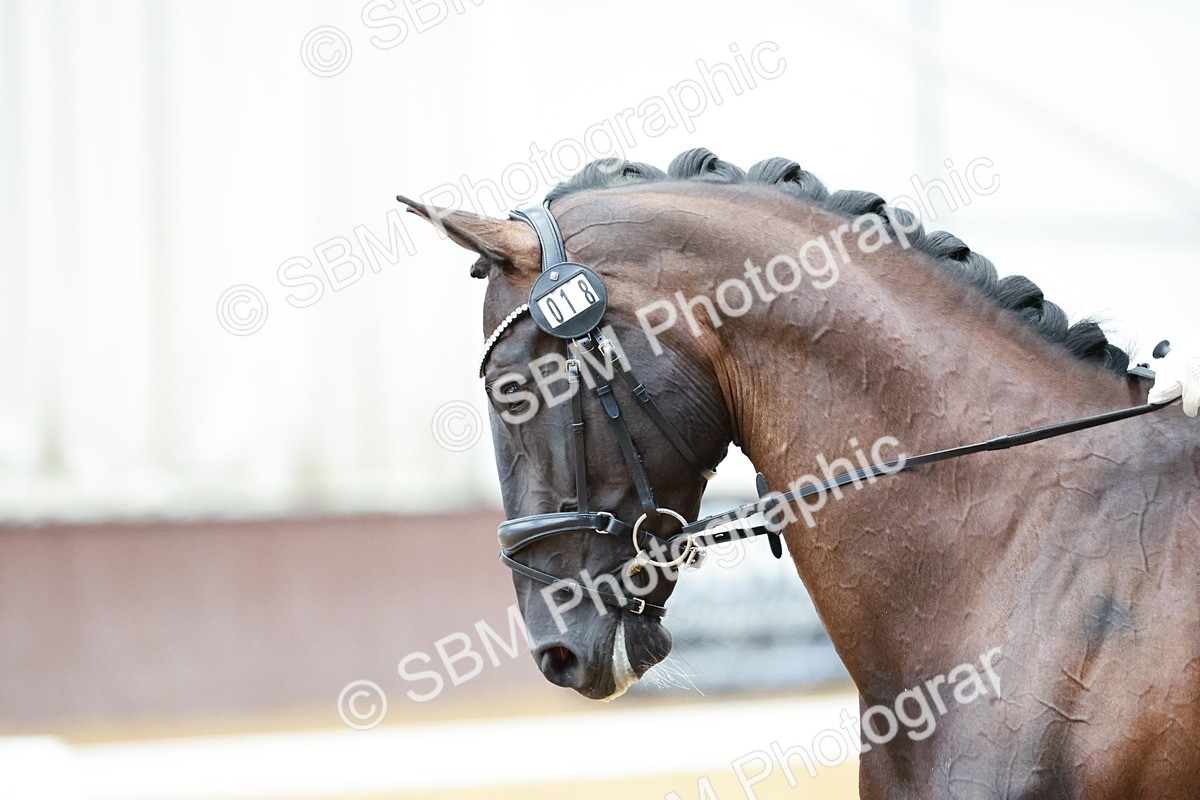 SBM_003186 - Class 1 - Prelim 6 - 9.30-10.26