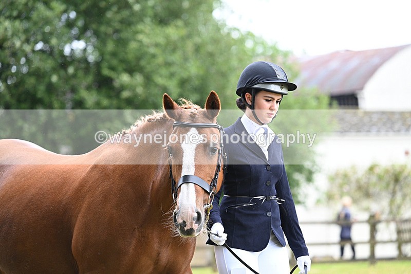 WJ7_6026 - Class 4a Prettiest Mare over 14hh