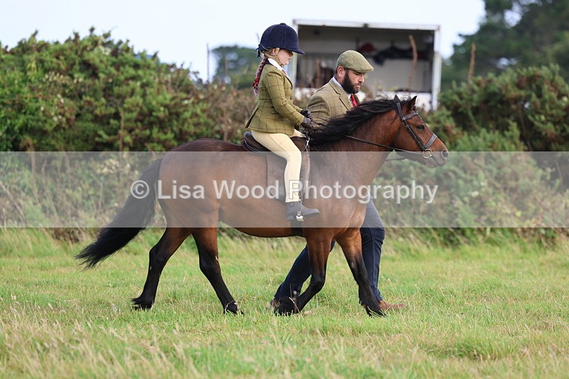 3E7A3561 - Class 2: Lead rein