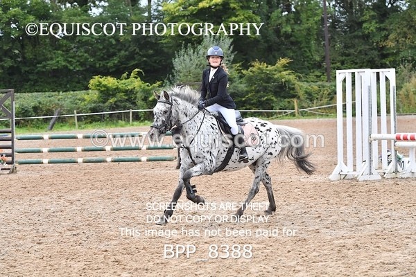 BPP_8388 - CLASS 3 Pony BritiNovice / 0.80m Open