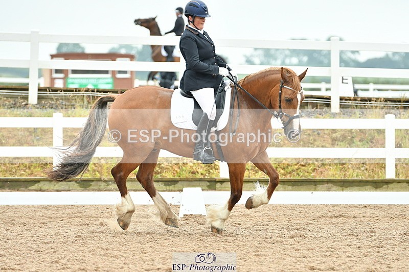 230708A-135355-02862 - Elementary 43