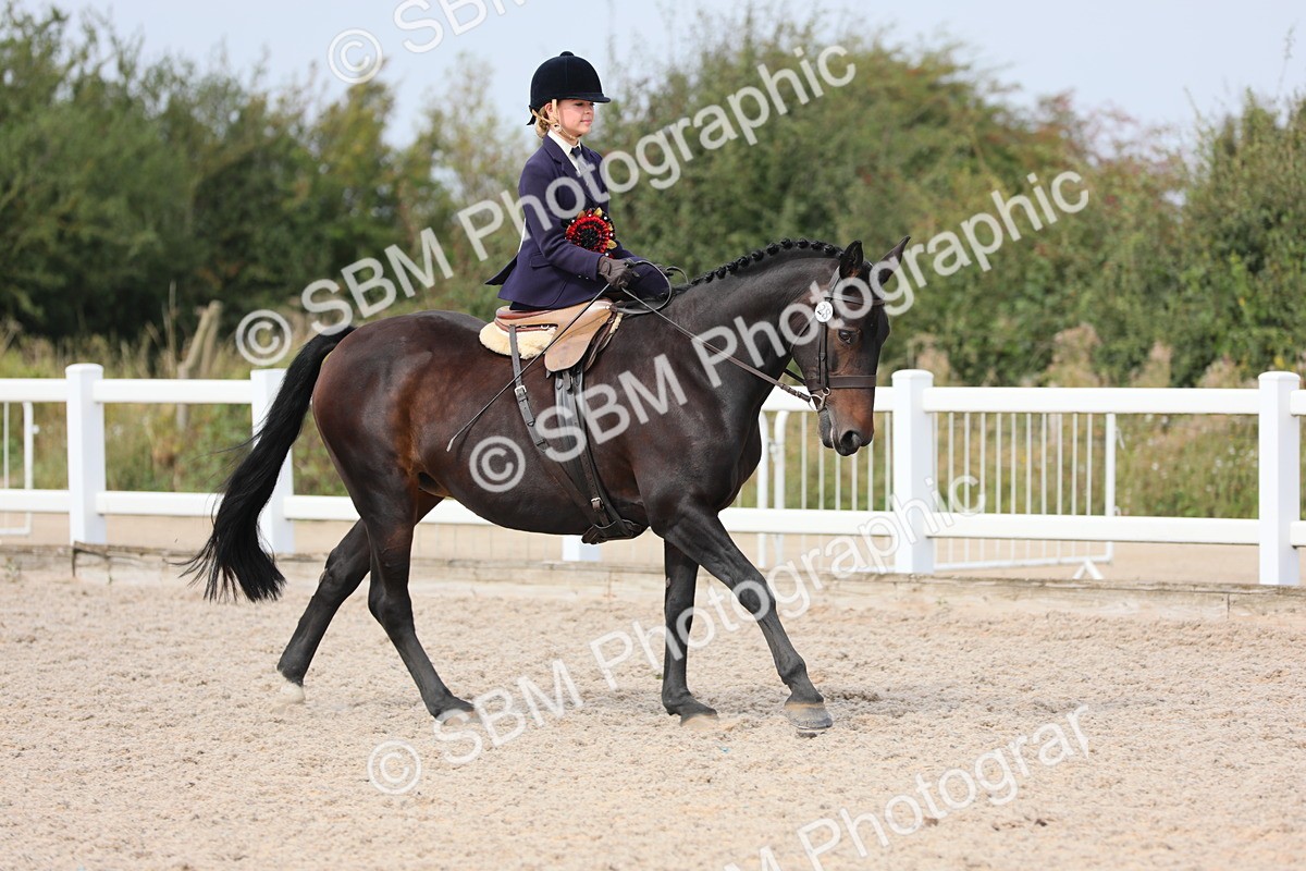 SBM_14638 - Class 211 Best Side Saddle Horse/Pony