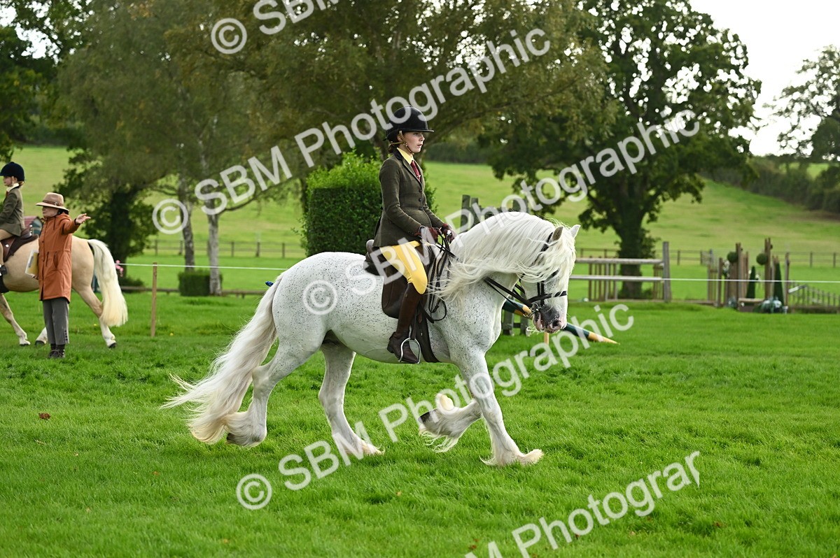 SBM_26611 - S7 - Novice & Newcomer Ridden Pony
