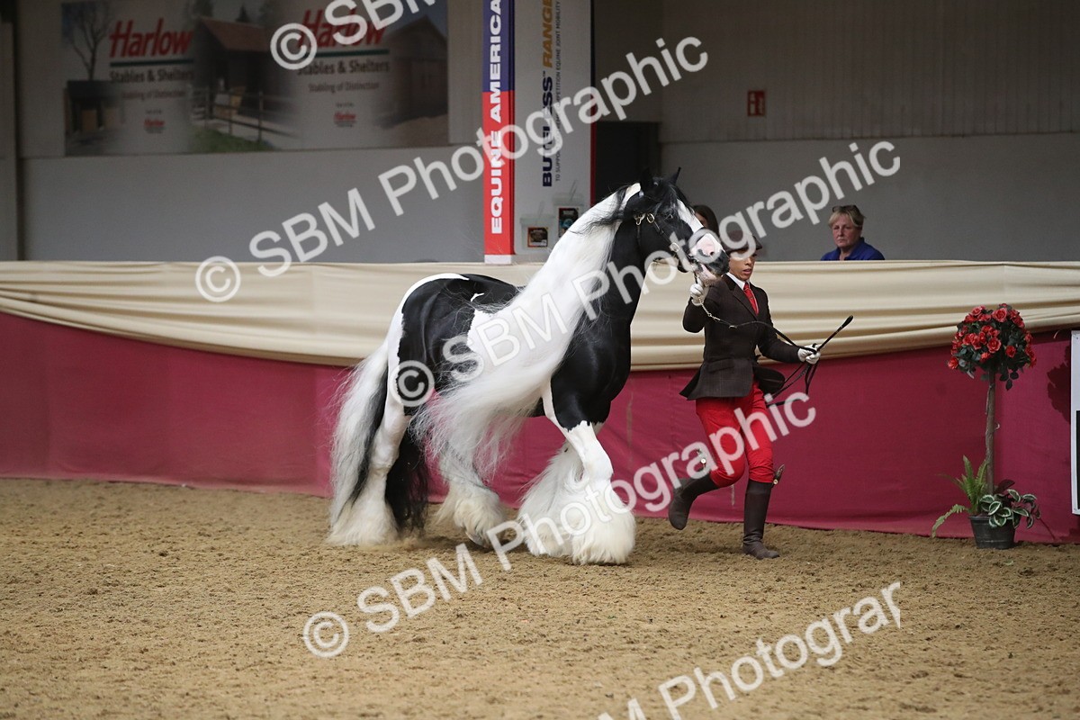 SBM_05471 - Class 9R - Regional IH Pre-Vet