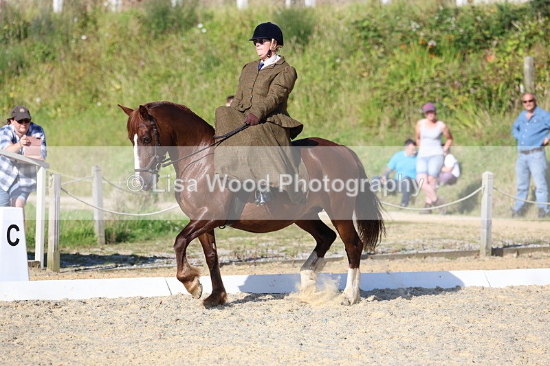 3E7A3459 - Class 2: Intro 1 2024 Section B