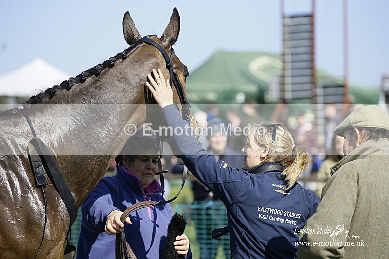 PtP 190322 330 - Wilton Hunt PtP Milborne St Andrew 19/03/22