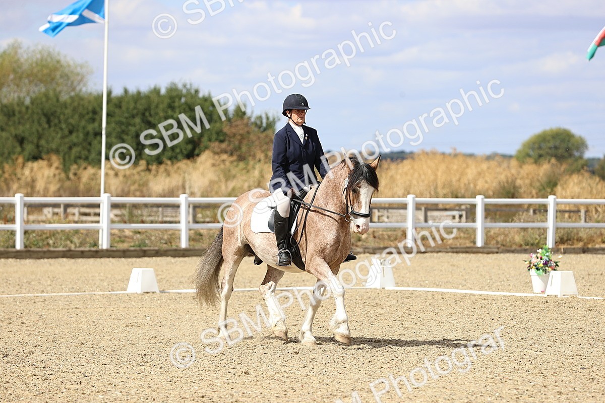SBM_014553 - Class 5 - E5 Bronze 13.30.14.18